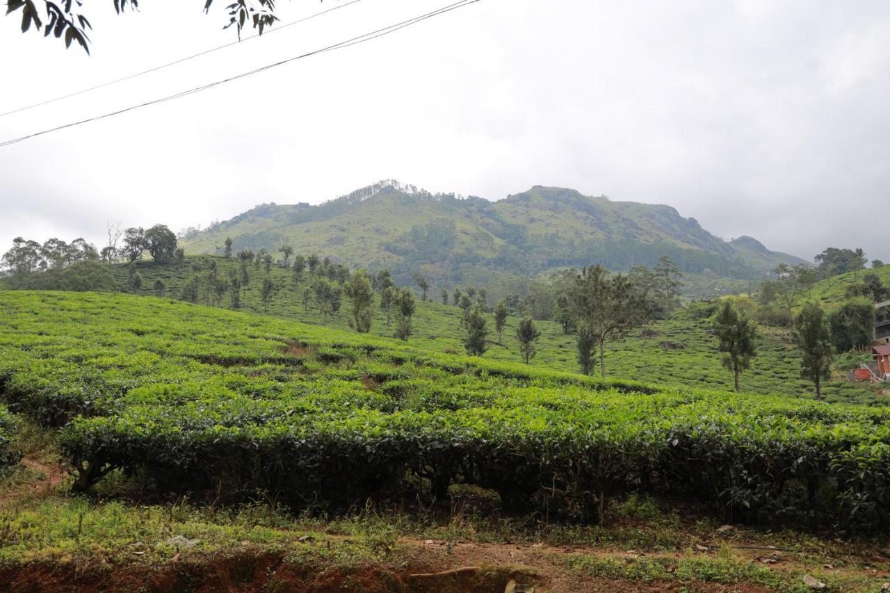 Peace Valley Home Stay Munnar Exteriör bild
